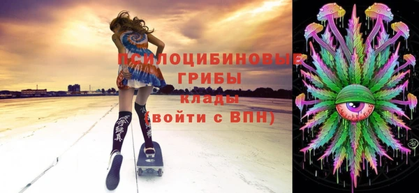 скорость Ладушкин